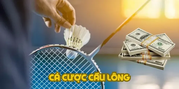 Cách Chơi Cá Cược Cầu Lông Tại VND88 Tăng Tốc Lợi Nhuận