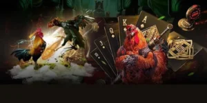 Chinh Phục Đấu Trường Đá Gà GA28 VND88 Với Chiến Thuật Đỉnh Cao