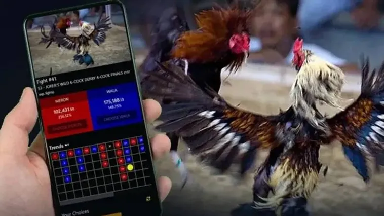 Đá Gà VND88 Đấu Trường Rực Lửa Cho Kê Thủ Chuyên Nghiệp